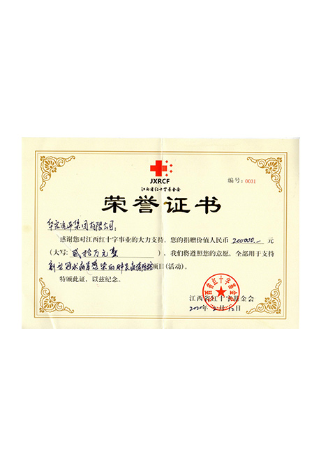 2020年红十字会捐款荣誉